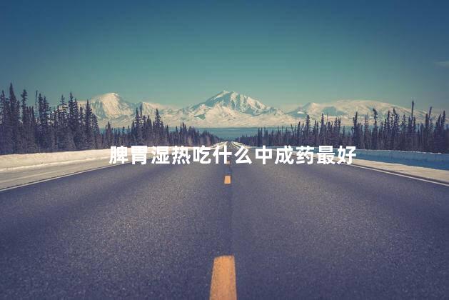 脾胃湿热吃什么中成药最好