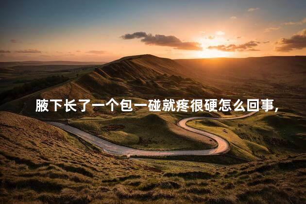 腋下长了一个包一碰就疼很硬怎么回事,怎么办