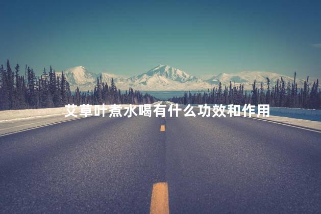 艾草叶煮水喝有什么功效和作用