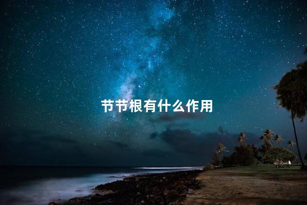 节节根有什么作用