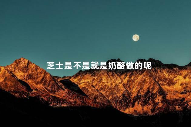 芝士是不是就是奶酪做的呢