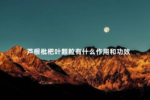 芦根枇杷叶颗粒有什么作用和功效