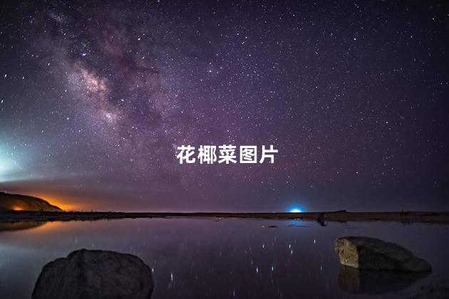花椰菜图片