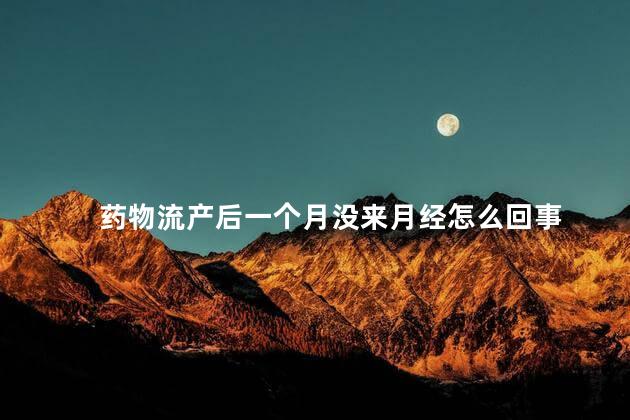 药物流产后一个月没来月经怎么回事