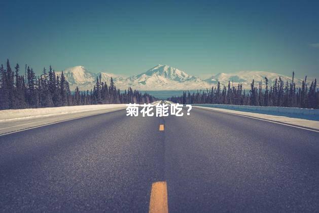 菊花能吃？