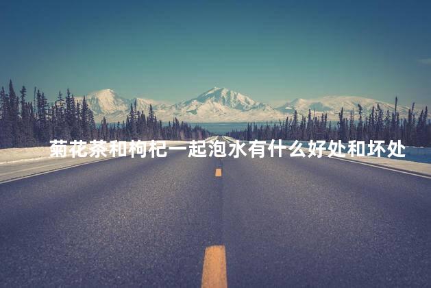 菊花茶和枸杞一起泡水有什么好处和坏处