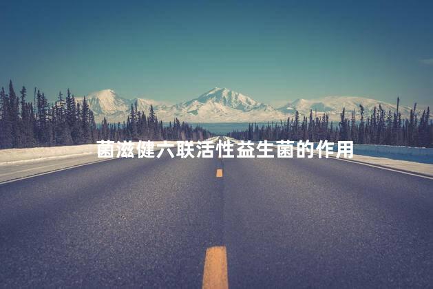 菌滋健六联活性益生菌的作用