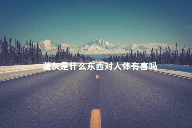 蓬灰是什么东西对人体有害吗