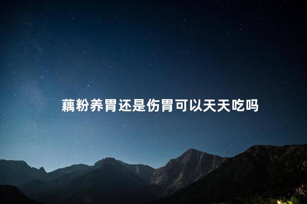 藕粉养胃还是伤胃可以天天吃吗