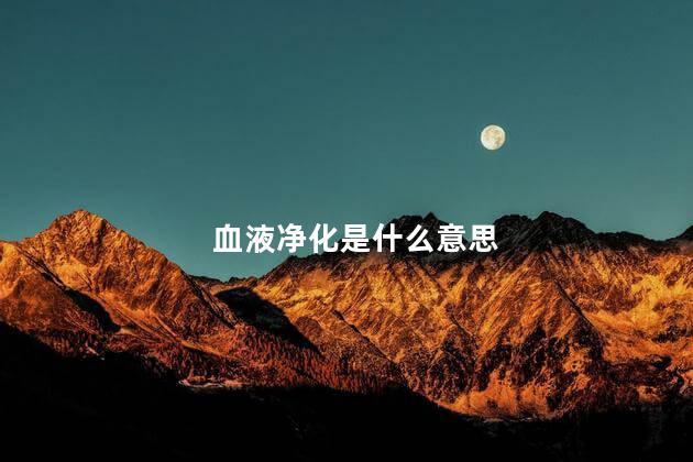 血液净化是什么意思