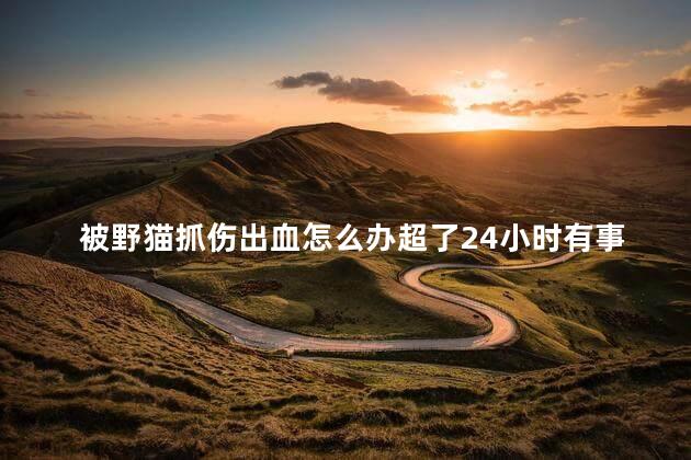 被野猫抓伤出血怎么办超了24小时有事吗