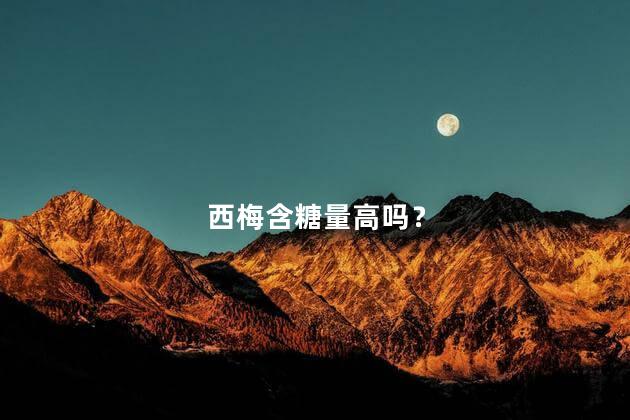 西梅含糖量高吗？