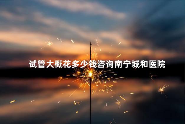 试管大概花多少钱咨询南宁城和医院