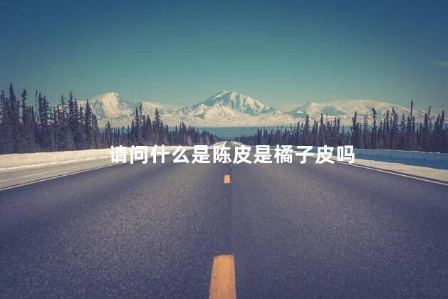 请问什么是陈皮是橘子皮吗
