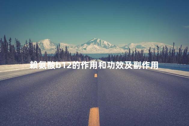 赖氨酸b12的作用和功效及副作用