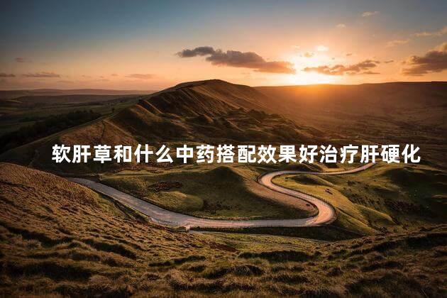 软肝草和什么中药搭配效果好治疗肝硬化