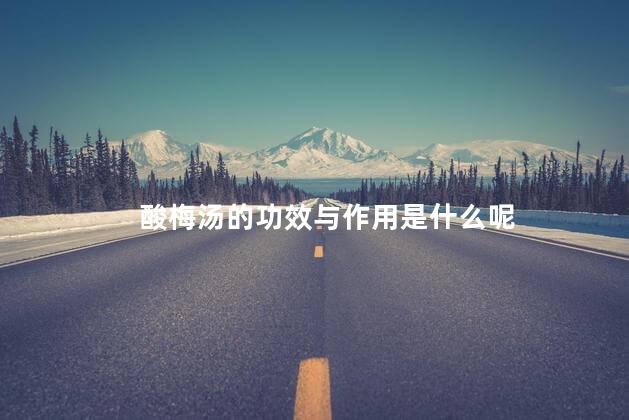 酸梅汤的功效与作用是什么呢