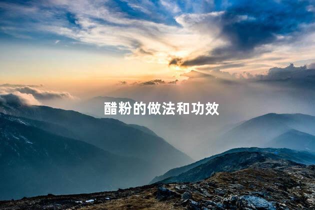 醋粉的做法和功效
