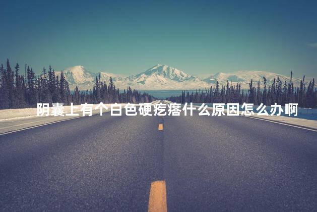 阴囊上有个白色硬疙瘩什么原因怎么办啊