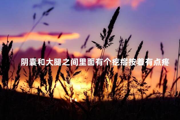 阴囊和大腿之间里面有个疙瘩按着有点疼