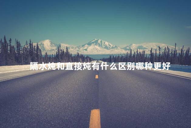 隔水炖和直接炖有什么区别哪种更好
