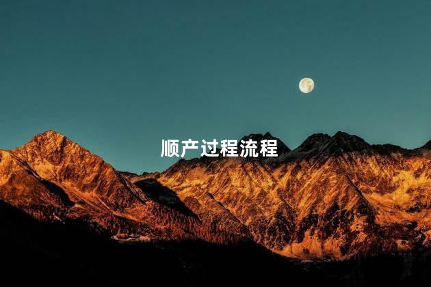 顺产过程流程