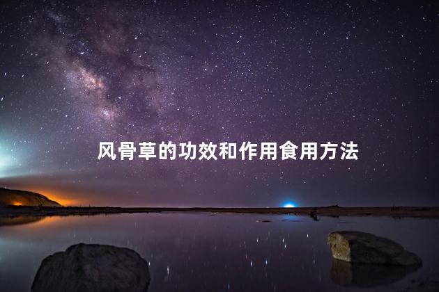 风骨草的功效和作用食用方法