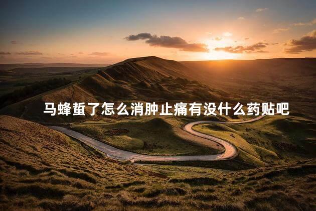 马蜂蜇了怎么消肿止痛有没什么药贴吧