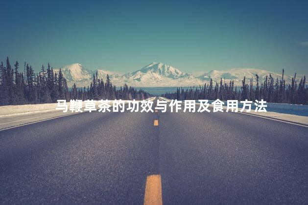 马鞭草茶的功效与作用及食用方法