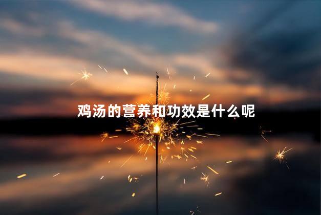 鸡汤的营养和功效是什么呢