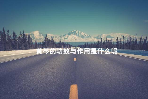 黄芩的功效与作用是什么呢