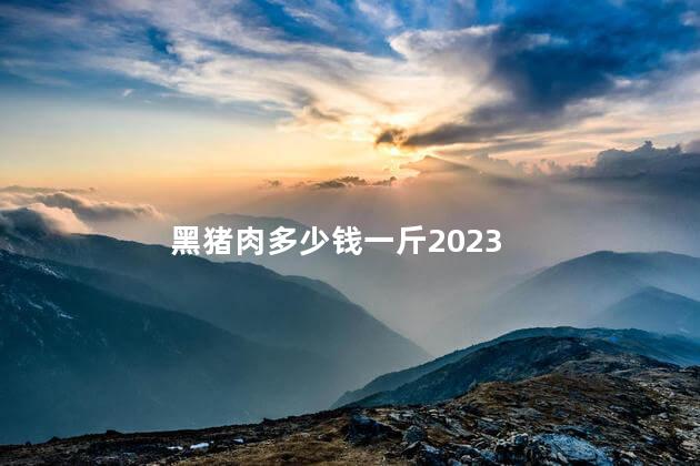 黑猪肉多少钱一斤2023