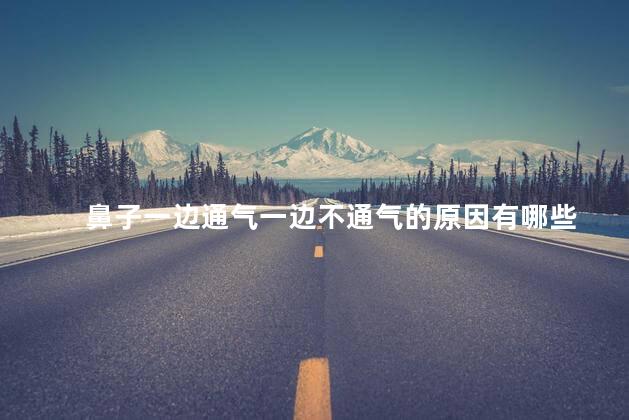 鼻子一边通气一边不通气的原因有哪些