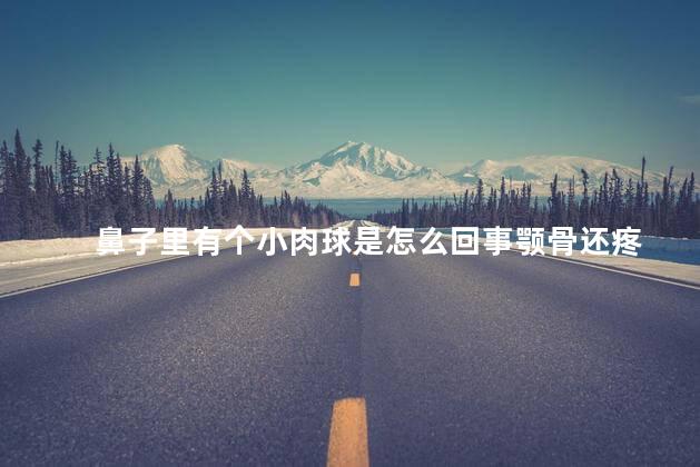 鼻子里有个小肉球是怎么回事颚骨还疼