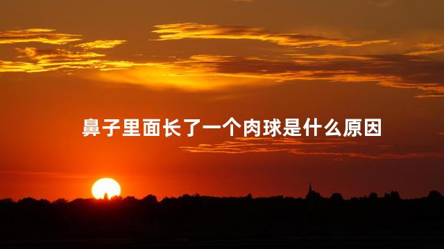 鼻子里面长了一个肉球是什么原因